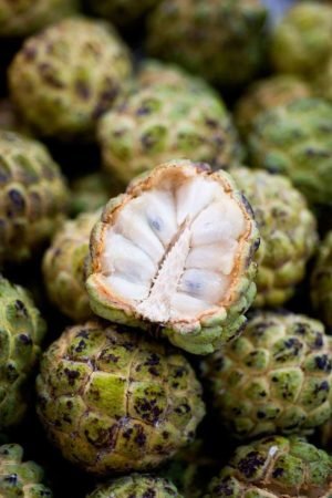 Frozen Custard Apple Pulp