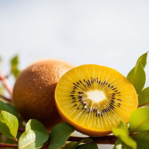 Golden Kiwi