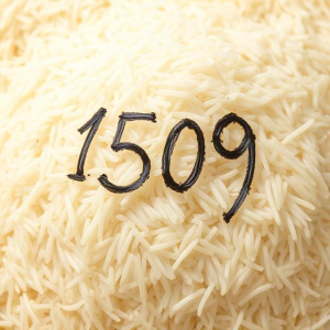 1509 Basmati Rice