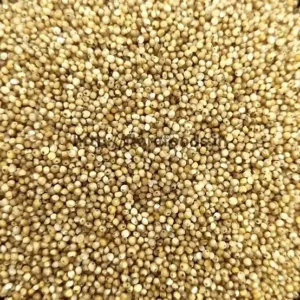 Kodo Millet (Varagu)