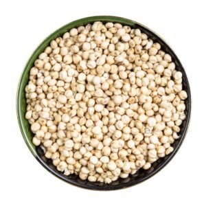 Pearl Millet (Bajra)